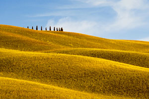Terre di Siena landscape