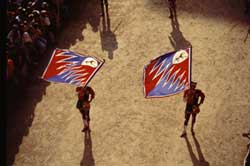 Course du Palio de Sienne