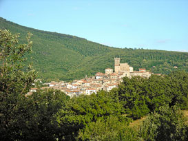 Arcidosso, Monte Amiata