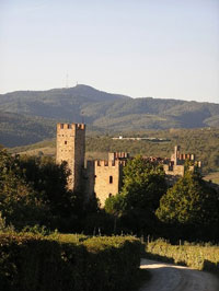 Montalto's castle