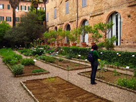 Parchi di Siena: Orto botanico