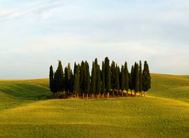 Val d'Orcia in Toscana