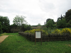 Siena y sus Jardines