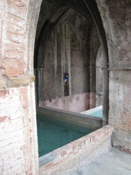 La fontanas de Siena: Fonte d'Ovile